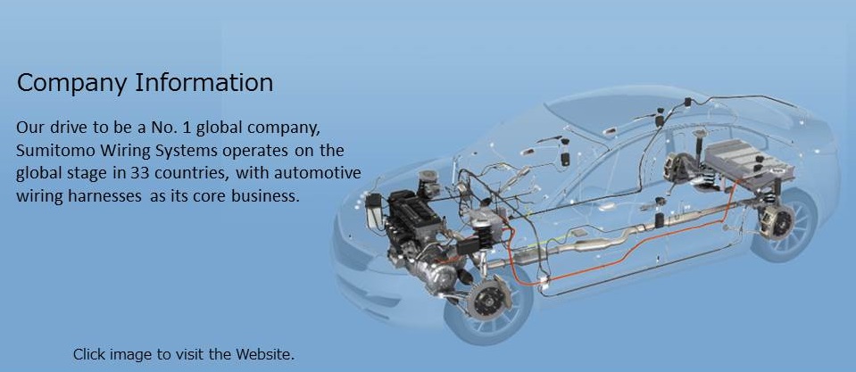 Parent Company Information